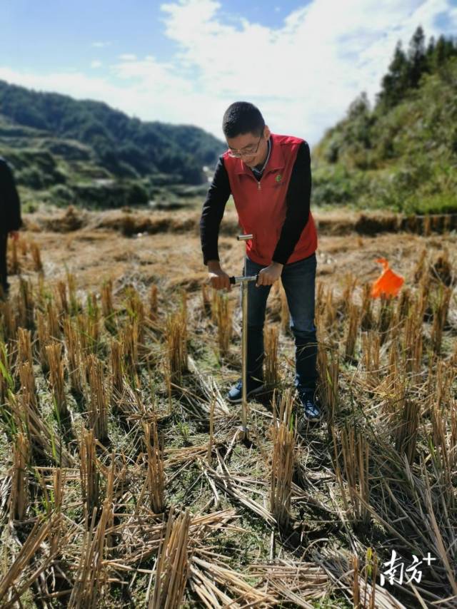 技術(shù)人員深入田間地頭開展土壤取樣、分析。通訊員供圖