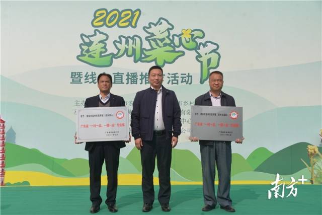 西岸鎮(zhèn)被評為廣東省“一村一品 一鎮(zhèn)一業(yè)”專業(yè)鎮(zhèn)（連州菜心），龍坪鎮(zhèn)被評為廣東省“一村一品 一鎮(zhèn)一業(yè)”專業(yè)鎮(zhèn)（連州水晶梨）。張曉欣 攝