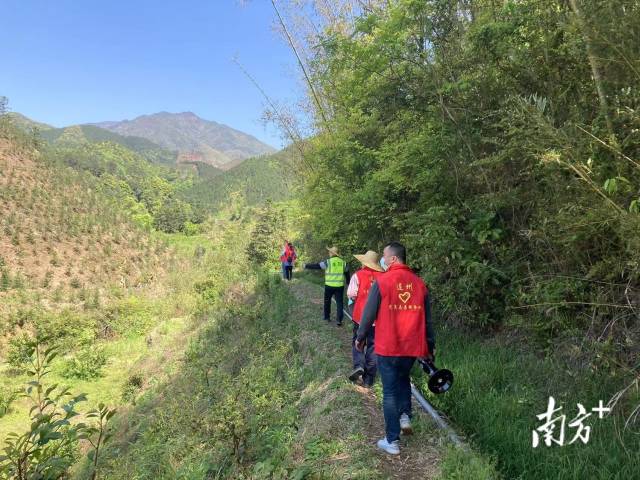 巡山。