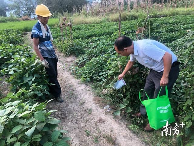 噴灑施藥。