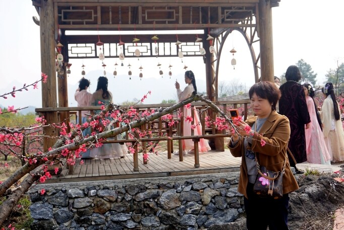 桃花節(jié)在九陂鎮(zhèn)開(kāi)幕，迎來(lái)八方游客。清遠(yuǎn)日?qǐng)?bào)記者 周璐攝。