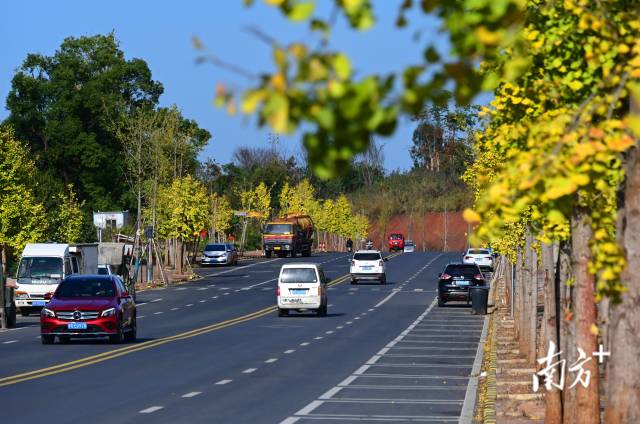 連州近5年累計(jì)投入20億元優(yōu)化升級(jí)交通設(shè)施。黃津 攝