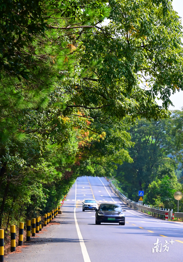 連州“四好農(nóng)村路”省級(jí)示范縣創(chuàng)建考核總分排全省第二。黃津 攝