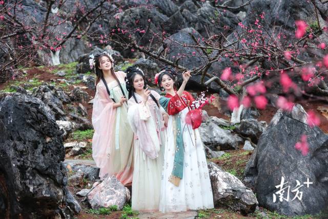 國風少女打卡連州桃花季。